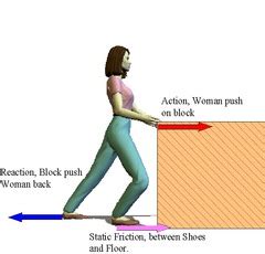 Friction, Gravity, and Momentum Flashcards 